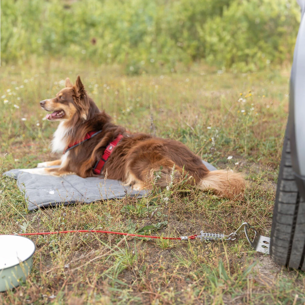 Trixie Auffahrplatte Zum Anleinen 2 Trixie Auffahrplatte Zum Anleinen – Bild 2