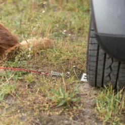 Trixie Auffahrplatte Zum Anleinen 9 Trixie Auffahrplatte Zum Anleinen -Günstiges Schecker Geschäft 045365 4