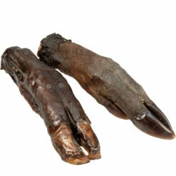 Wildschwein-Pfoten 5 Wildschwein-Pfoten -Günstiges Schecker Geschäft 0590009 2