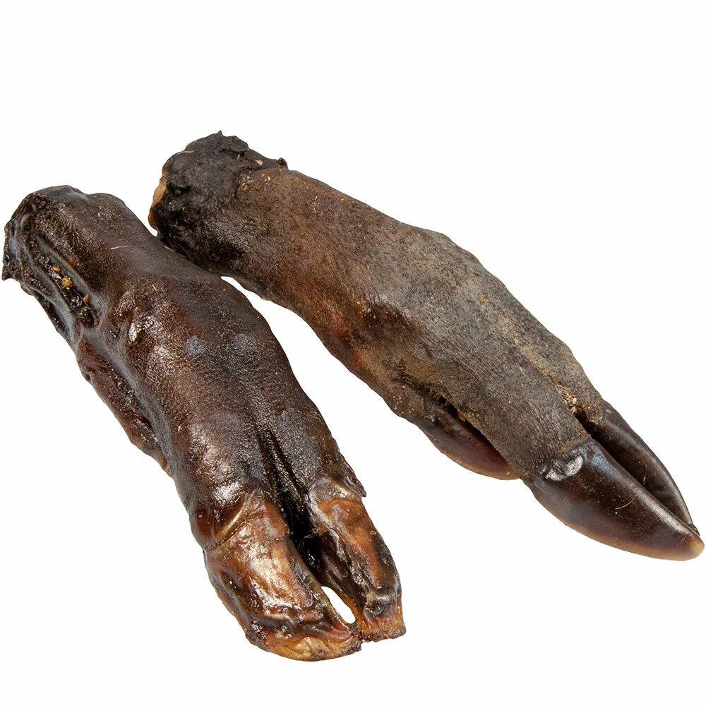 Wildschwein-Pfoten 3 Wildschwein-Pfoten – Bild 3