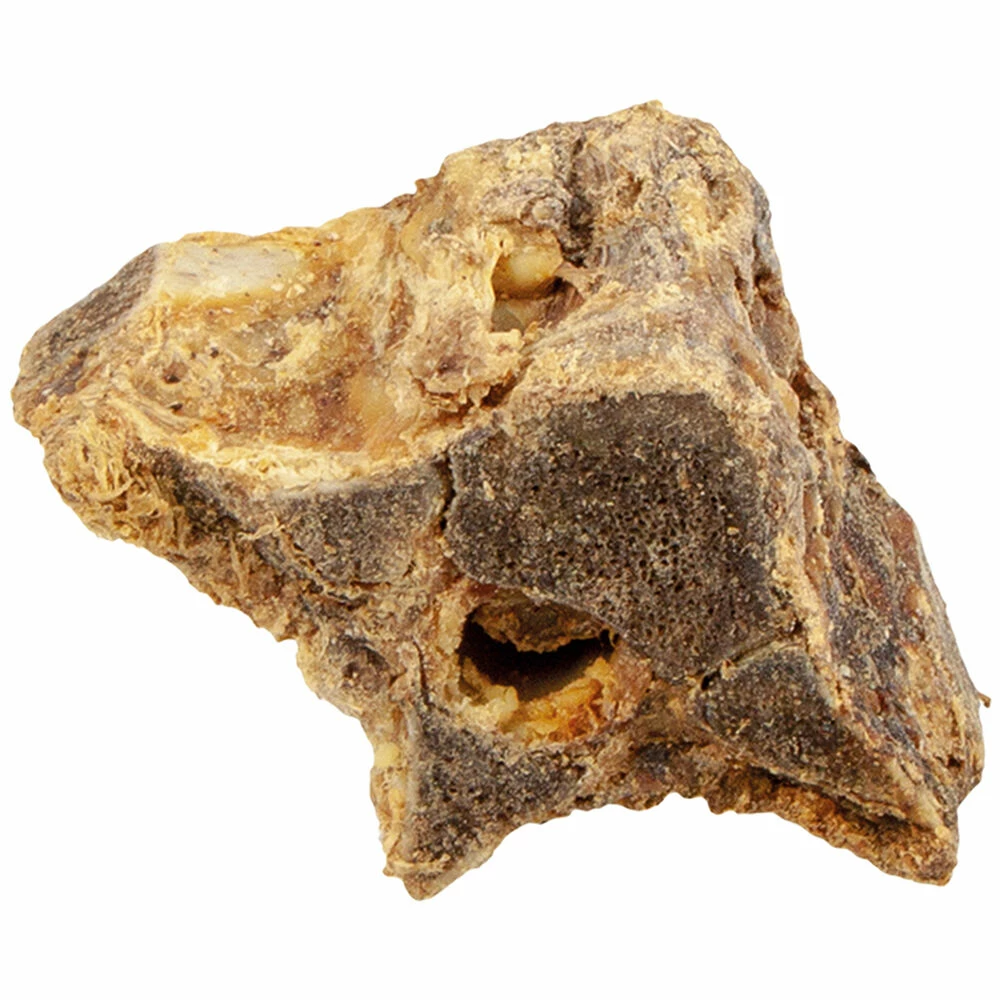 Reh-Rückenknochen 2 Reh-Rückenknochen – Bild 2