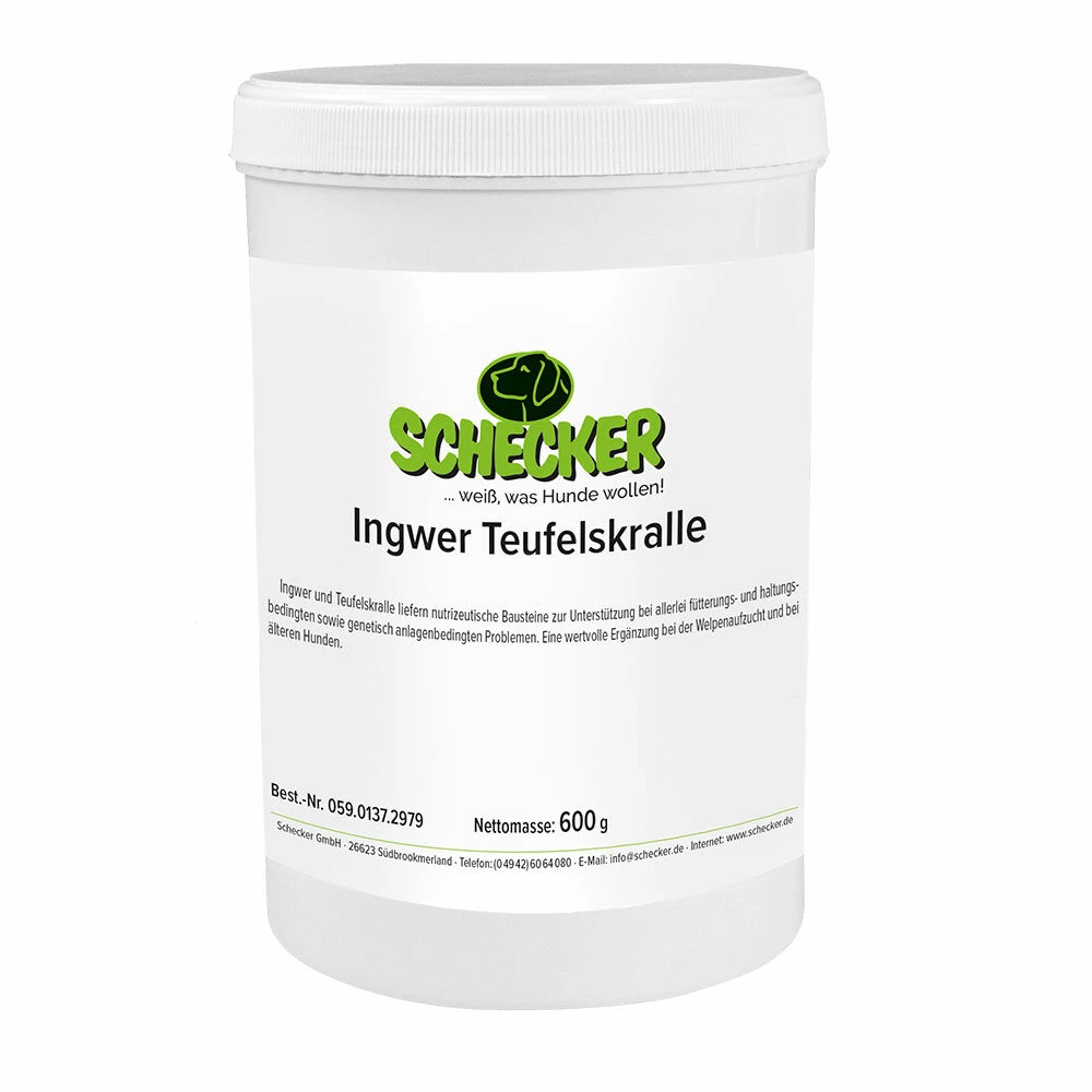 Ingwer Teufelskralle 2 Ingwer Teufelskralle – Bild 2