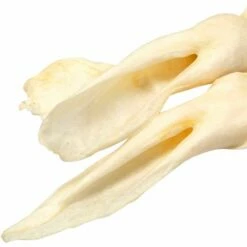 Karlie Gepuffte Kaninchenohren -Günstiges Schecker Geschäft 0590144 2