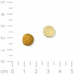 Softies Spar-Set -Günstiges Schecker Geschäft 0590155 2