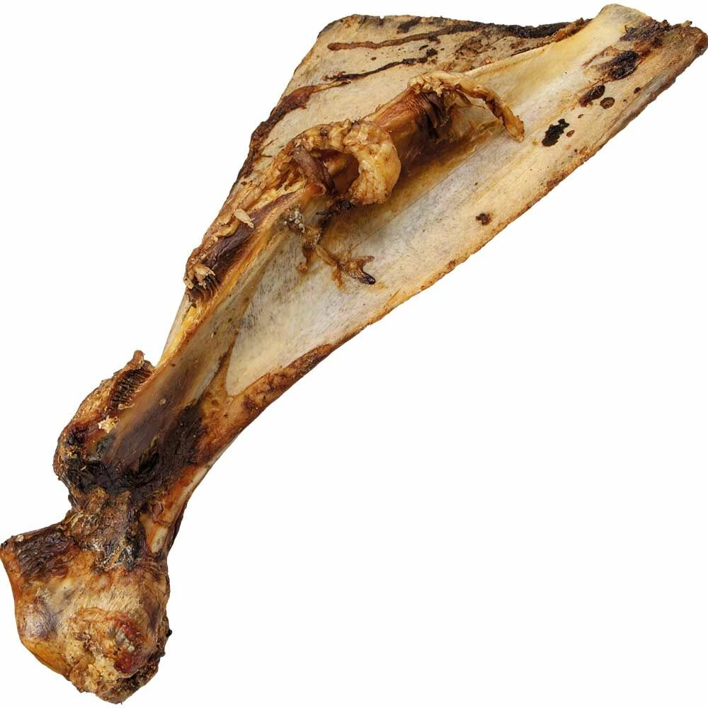 Karlie Rinder-Schulterblatt XL 2 Karlie Rinder-Schulterblatt XL – Bild 2