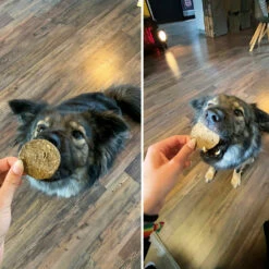 Chipies - Krosse Fleischige Chips-Taler Für Hunde 6 Chipies - Krosse Fleischige Chips-Taler Für Hunde -Günstiges Schecker Geschäft 0590402 2