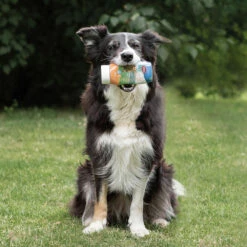 Trixie PREMIO Leberwurst 5 Trixie PREMIO Leberwurst -Günstiges Schecker Geschäft 0590458 2