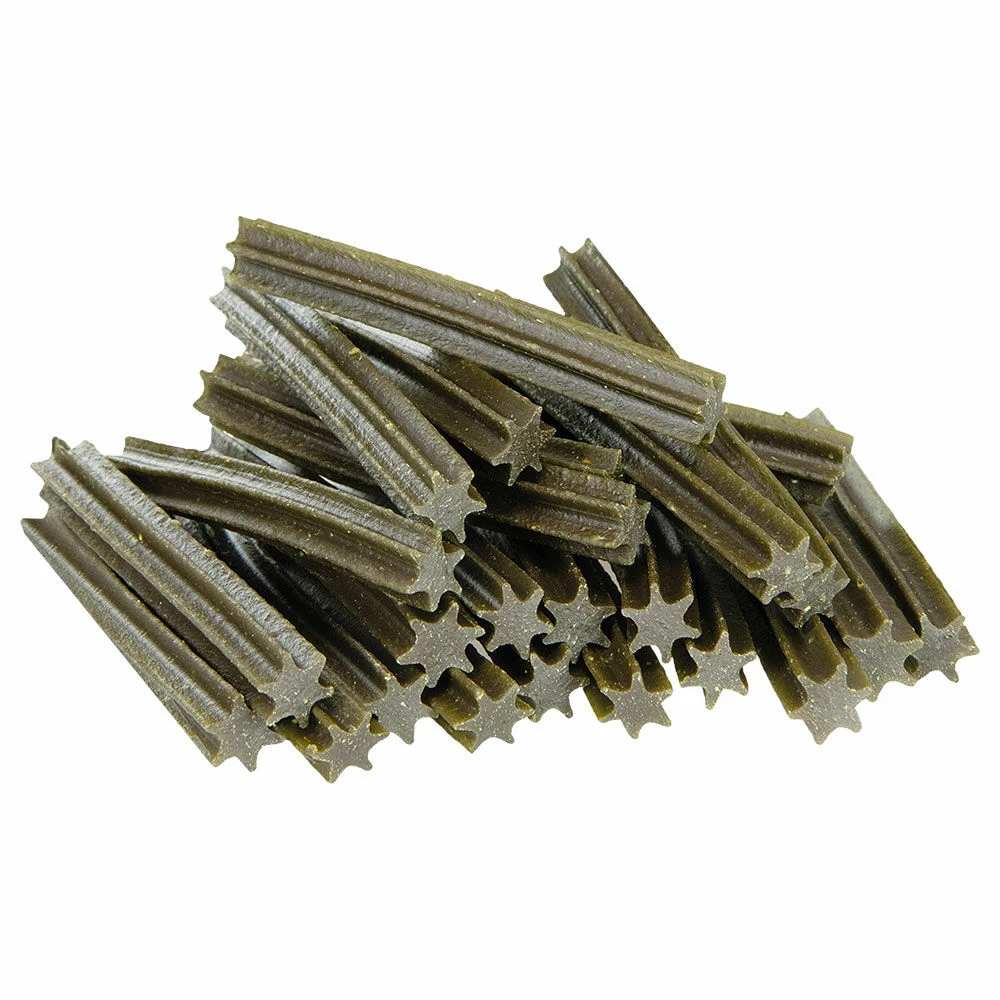 Schecker Dento-Sticks 4 Schecker Dento-Sticks – Bild 4