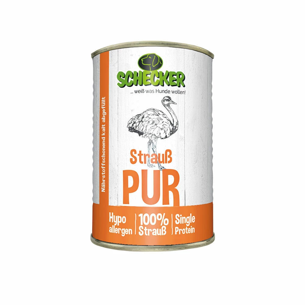 Strauß PUR 2 Strauß PUR – Bild 2