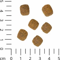 Schecker Veggie-Dry - Vegetarisches Hundefutter -Günstiges Schecker Geschäft 0590461 2