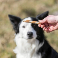 Gefüllte Ringelröllchen 7 Gefüllte Ringelröllchen -Günstiges Schecker Geschäft 0590464 2