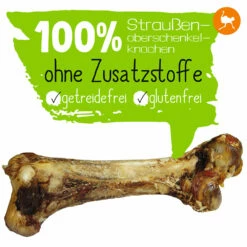 Riesen-Straußenknochen -Günstiges Schecker Geschäft 059085 3