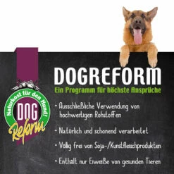 Riesen-Straußenknochen -Günstiges Schecker Geschäft 059085 4