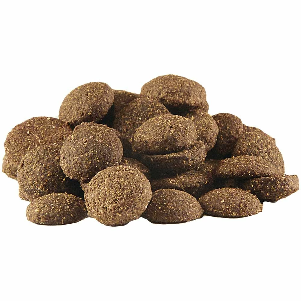 VOLLWERT Senior/Light - Getreidefrei 3 VOLLWERT Senior/Light - Getreidefrei – Bild 3