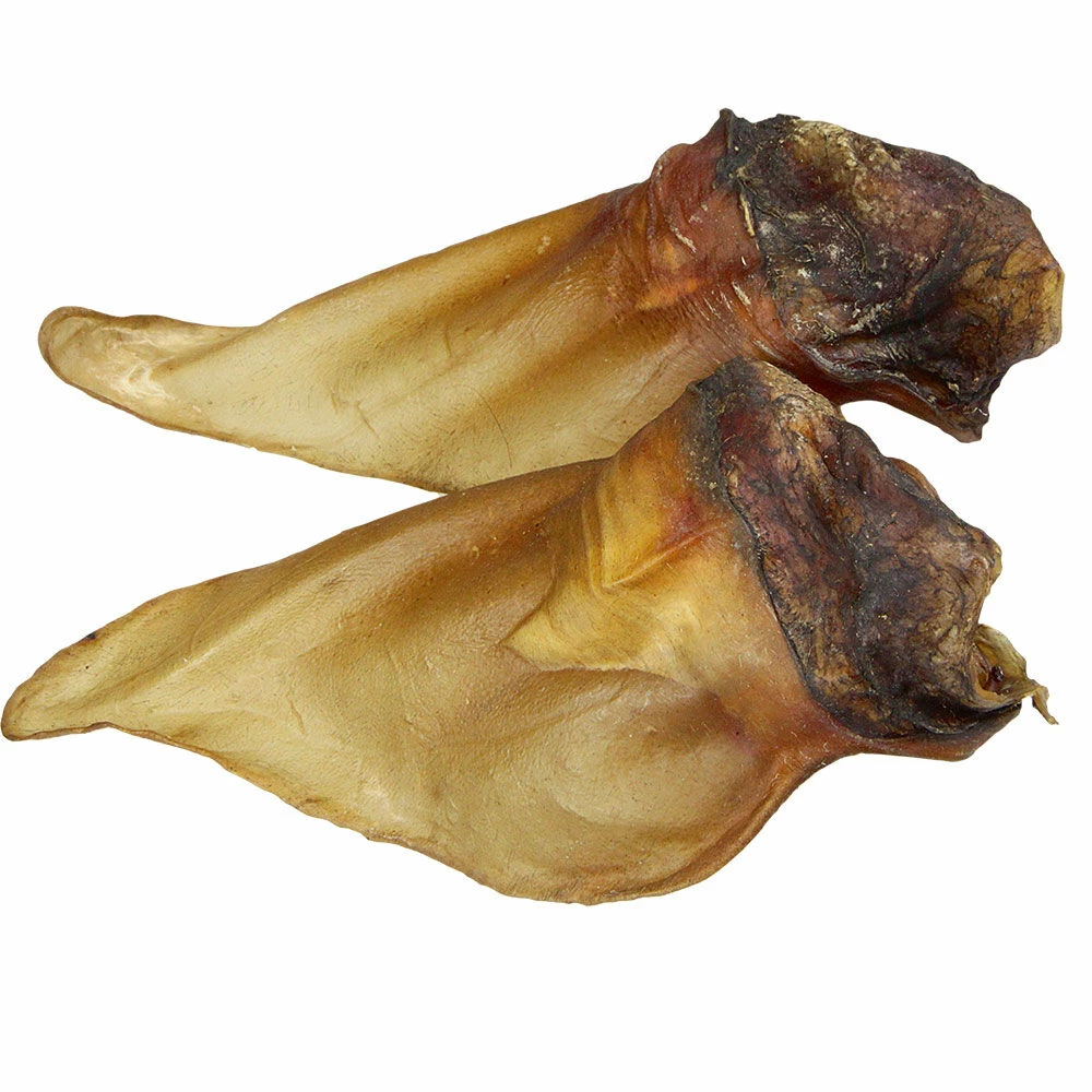 Rinderohren Mit Muschel 2 Rinderohren Mit Muschel – Bild 2