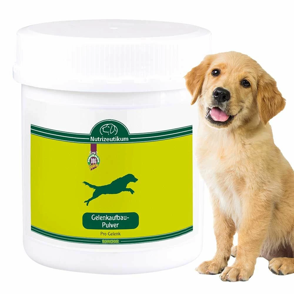 Nutrizeutikum Gelenkaufbau-Pulver 2 Nutrizeutikum Gelenkaufbau-Pulver – Bild 2
