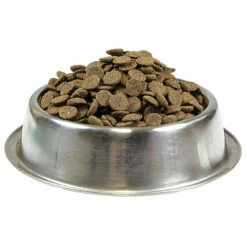 Günstiges Schecker Geschäft -Günstiges Schecker Geschäft 059794 1