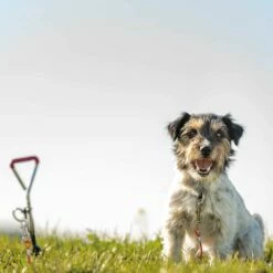 Trixie Bully-Auslaufleine -Günstiges Schecker Geschäft 068019 2