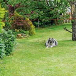 Trixie Trolly-Komplett-Set -Günstiges Schecker Geschäft 068028 2