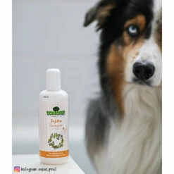 Schecker Jojoba-Shampoo 5 Schecker Jojoba-Shampoo -Günstiges Schecker Geschäft 071181 2