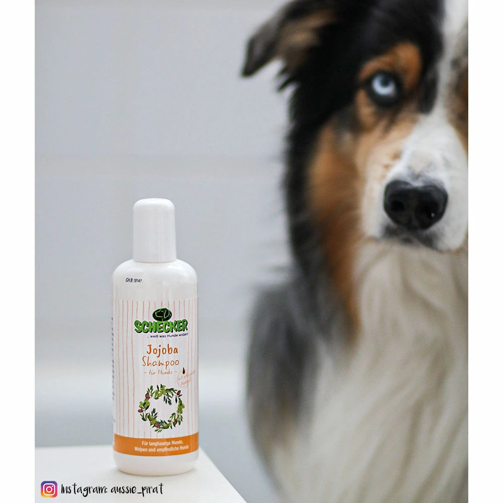 Schecker Jojoba-Shampoo 3 Schecker Jojoba-Shampoo – Bild 3