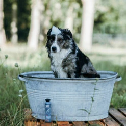 Greenfields Hundeshampoo 9 Greenfields Hundeshampoo -Günstiges Schecker Geschäft 071185 4