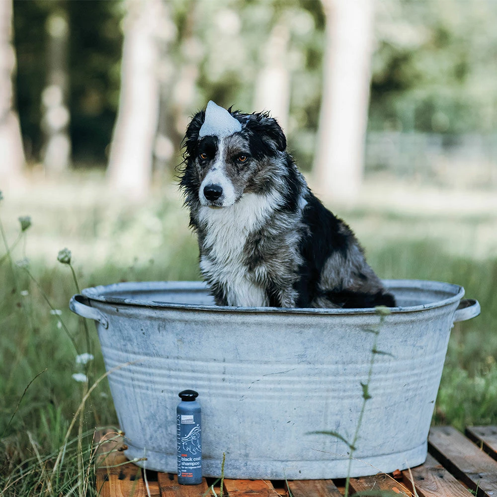 Greenfields Hundeshampoo 5 Greenfields Hundeshampoo – Bild 5