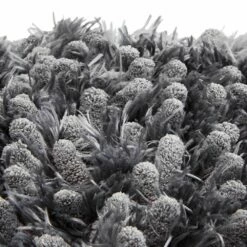 Royal Dry-Hundehandtuch 7 Royal Dry-Hundehandtuch -Günstiges Schecker Geschäft 071540 2