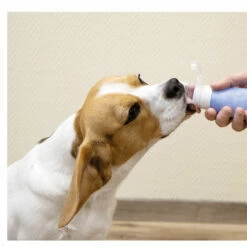 GoTube Belohnungstube -Günstiges Schecker Geschäft 072186 2