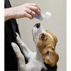 GoTube Belohnungstube -Günstiges Schecker Geschäft 072186 4