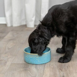 Trixie Keramiknapf Effekt 7 Trixie Keramiknapf Effekt -Günstiges Schecker Geschäft 072231 3