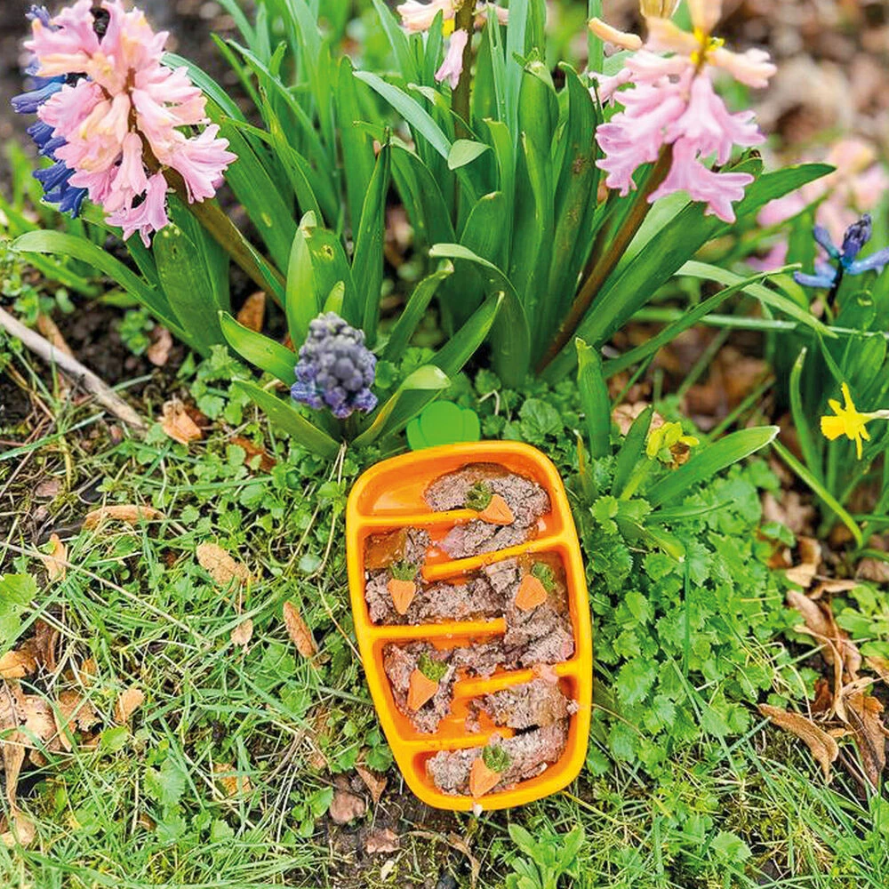 Anti Schling Napf Karotte 5 Anti Schling Napf Karotte – Bild 5