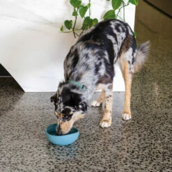 Günstiges Schecker Geschäft -Günstiges Schecker Geschäft 072237 1