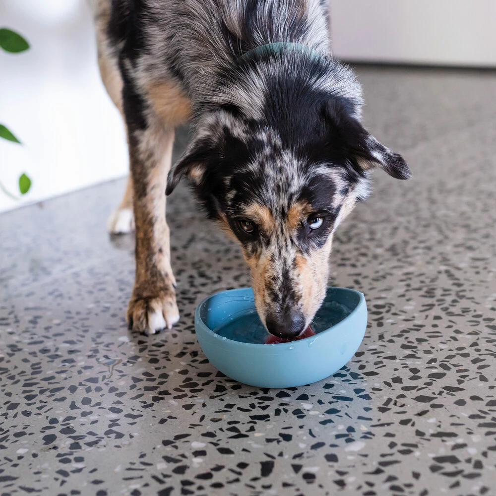 FuzzYard LIFE Silikon-Napf 4 FuzzYard LIFE Silikon-Napf – Bild 4