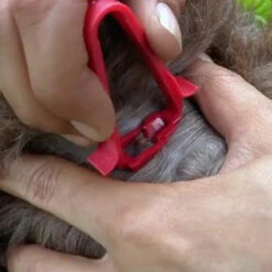 ZeckenDoc -Günstiges Schecker Geschäft 0730001 3