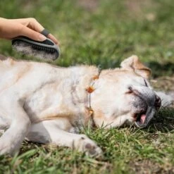 Furminator® Striegel -Günstiges Schecker Geschäft 073092 2