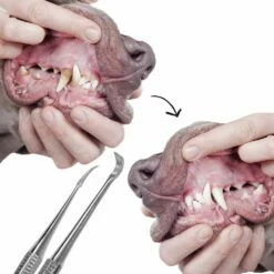 Zahnstein-Entferner-Set, 2-teilig 7 Zahnstein-Entferner-Set, 2-teilig -Günstiges Schecker Geschäft 073185 2