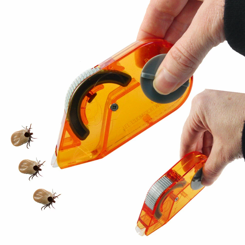 Zeckenmaus 3 Zeckenmaus – Bild 3