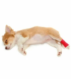 Trixie Hunde-Bandagen -Günstiges Schecker Geschäft 073485 2