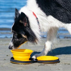 Kiwi Walker Reise-Doppelfaltnapf 7 Kiwi Walker Reise-Doppelfaltnapf -Günstiges Schecker Geschäft 0740148 3