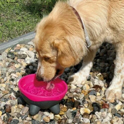 Kiwi Walker Hundenapf UFO 6 Kiwi Walker Hundenapf UFO -Günstiges Schecker Geschäft 0740150 2