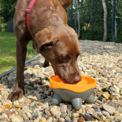 Kiwi Walker Hundenapf UFO 7 Kiwi Walker Hundenapf UFO -Günstiges Schecker Geschäft 0740150 3