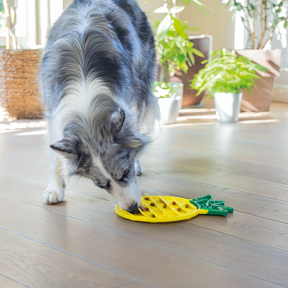 Beeztees Schleckmatte 2 Beeztees Schleckmatte – Bild 2