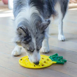 Beeztees Schleckmatte 8 Beeztees Schleckmatte -Günstiges Schecker Geschäft 0740156 3