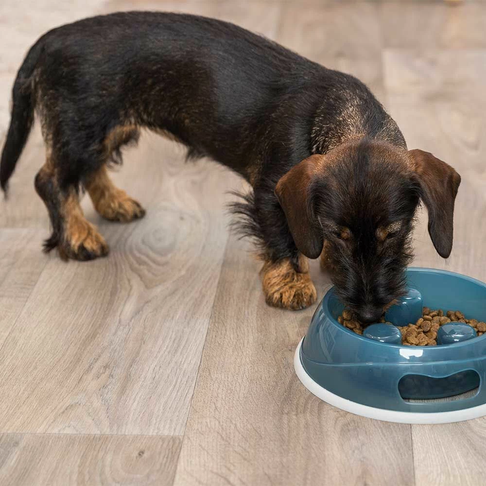 Trixie Kunststoffnapf - Slim 2 Trixie Kunststoffnapf - Slim – Bild 2