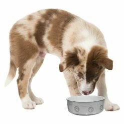 Trixie Keramiknapf - Silberpfote -Günstiges Schecker Geschäft 074178 2