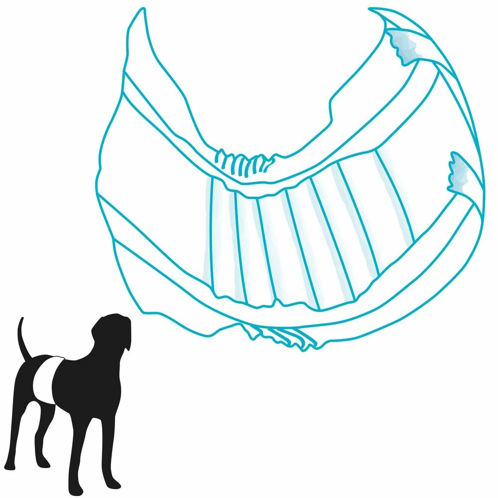 Trixie Rüdenwindeln 4 Trixie Rüdenwindeln – Bild 4