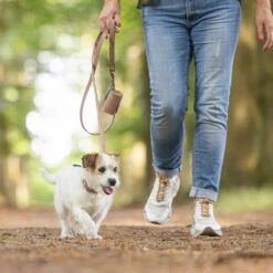 Beeztees Balacron Kotbeutelspender -Günstiges Schecker Geschäft 075160 4