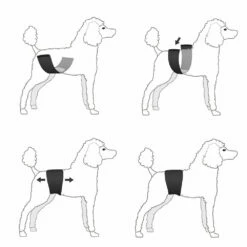 Rüden-Schutzbinde JustinCase 7 Rüden-Schutzbinde JustinCase -Günstiges Schecker Geschäft 075350 3