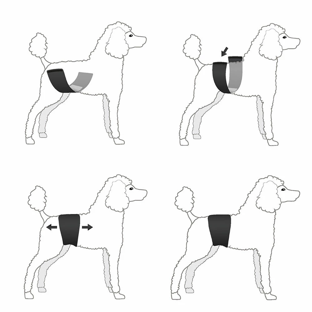 Rüden-Schutzbinde JustinCase 4 Rüden-Schutzbinde JustinCase – Bild 4